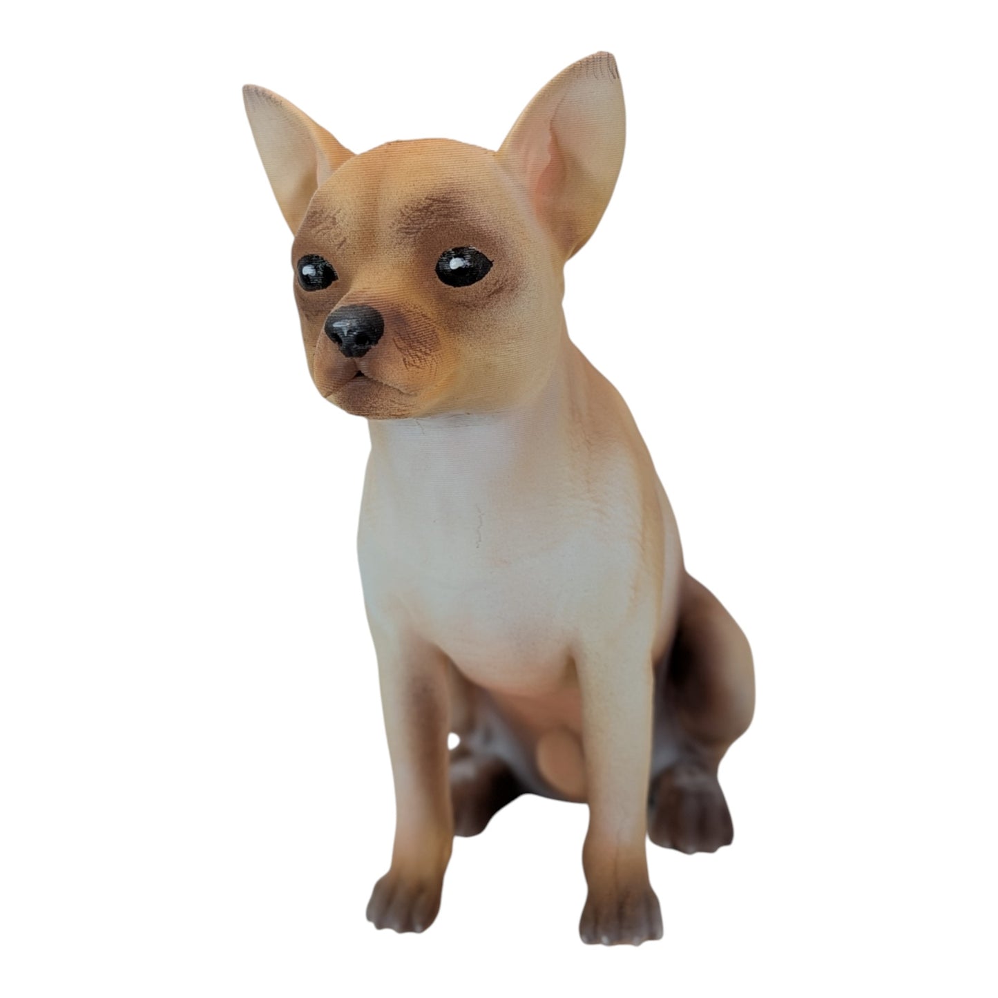 Bean: The Alert Little Chihuahua (Founder's Edition)