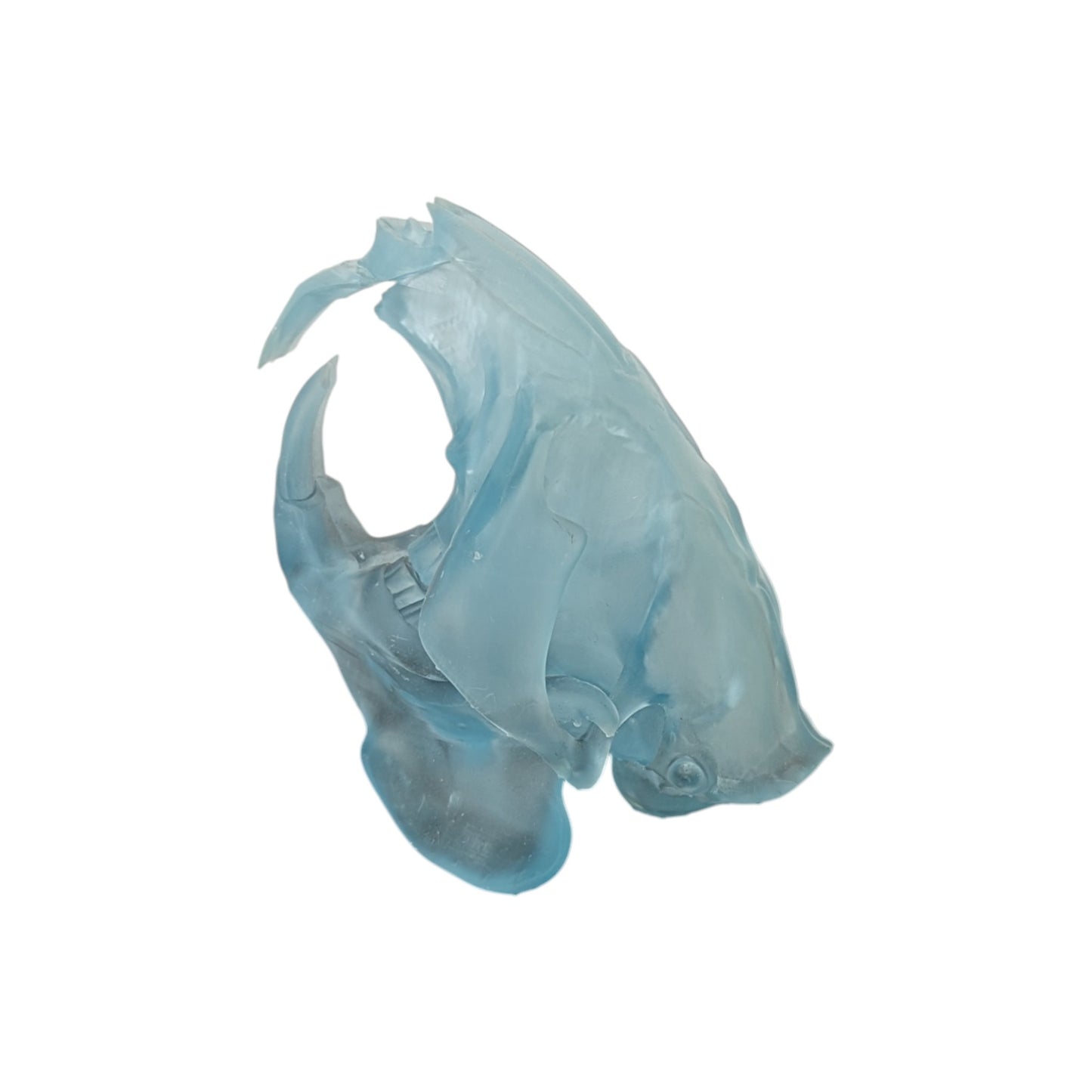 Beaver/Castor Skull (Resin) Glacial Blue
