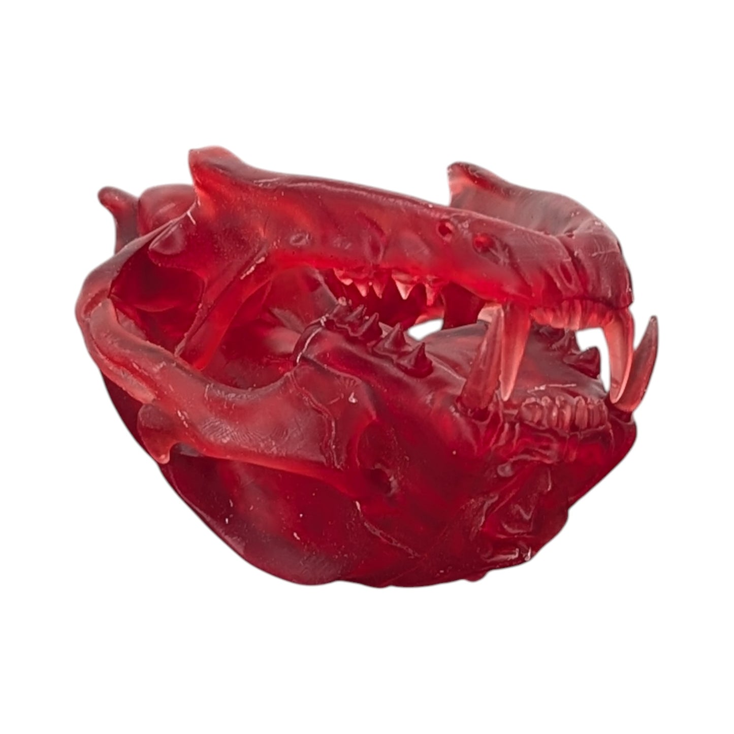 The Ruby Specimen: Life-Size Cat Skull (Translucent)