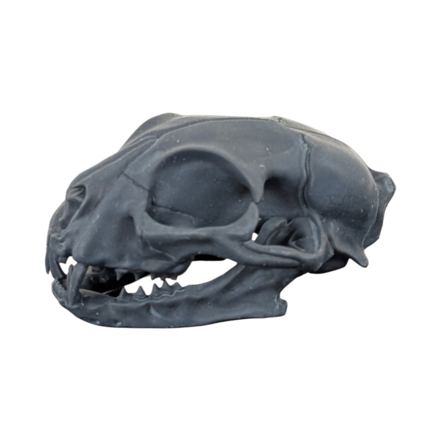 Charcoal Black: Solid Resin Cat Skull