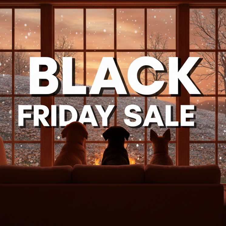 Three dogs sitting on a couch looking out a window at a snowy scene with 'Black Friday Sale' text overlay.