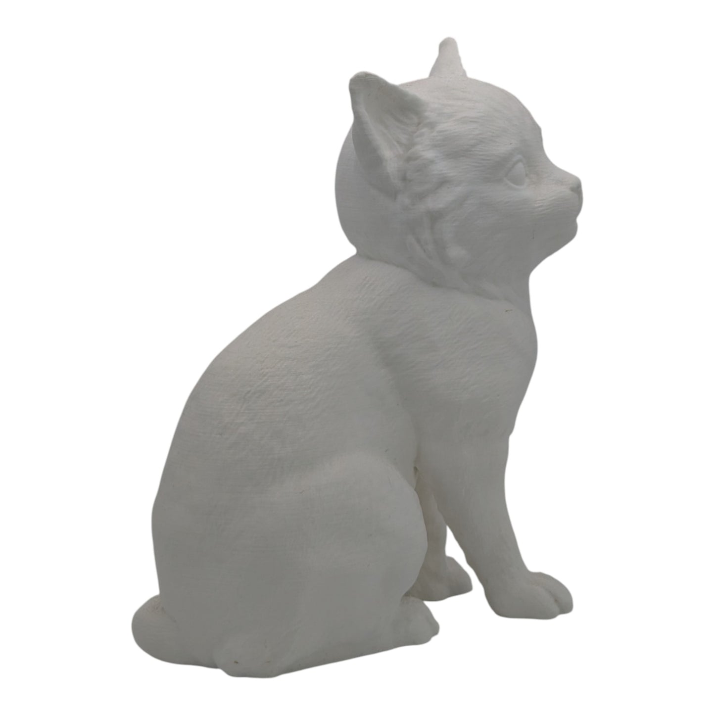 Willow: The Playful Little Explorer Kitten Figurine