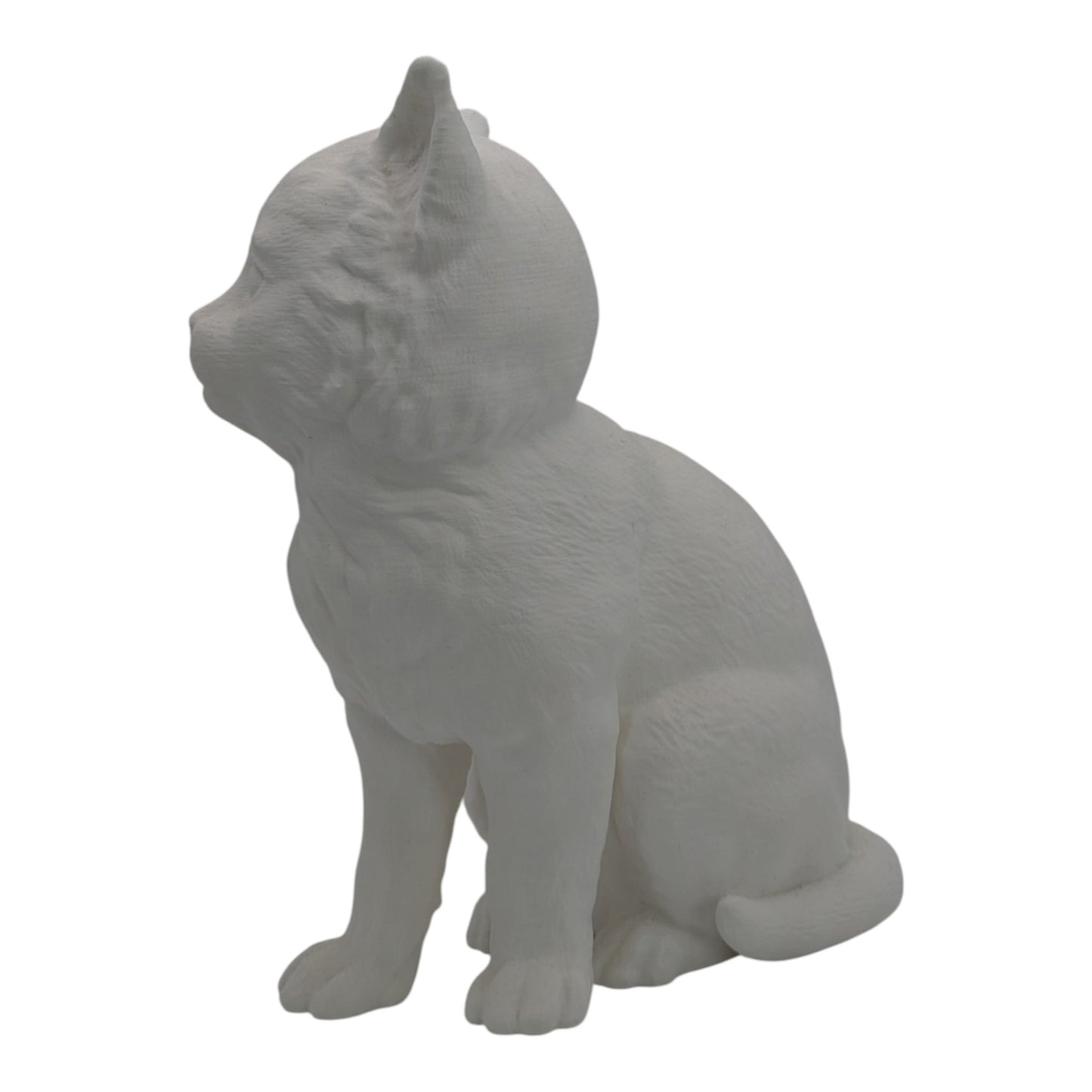 Willow: The Playful Little Explorer Kitten Figurine