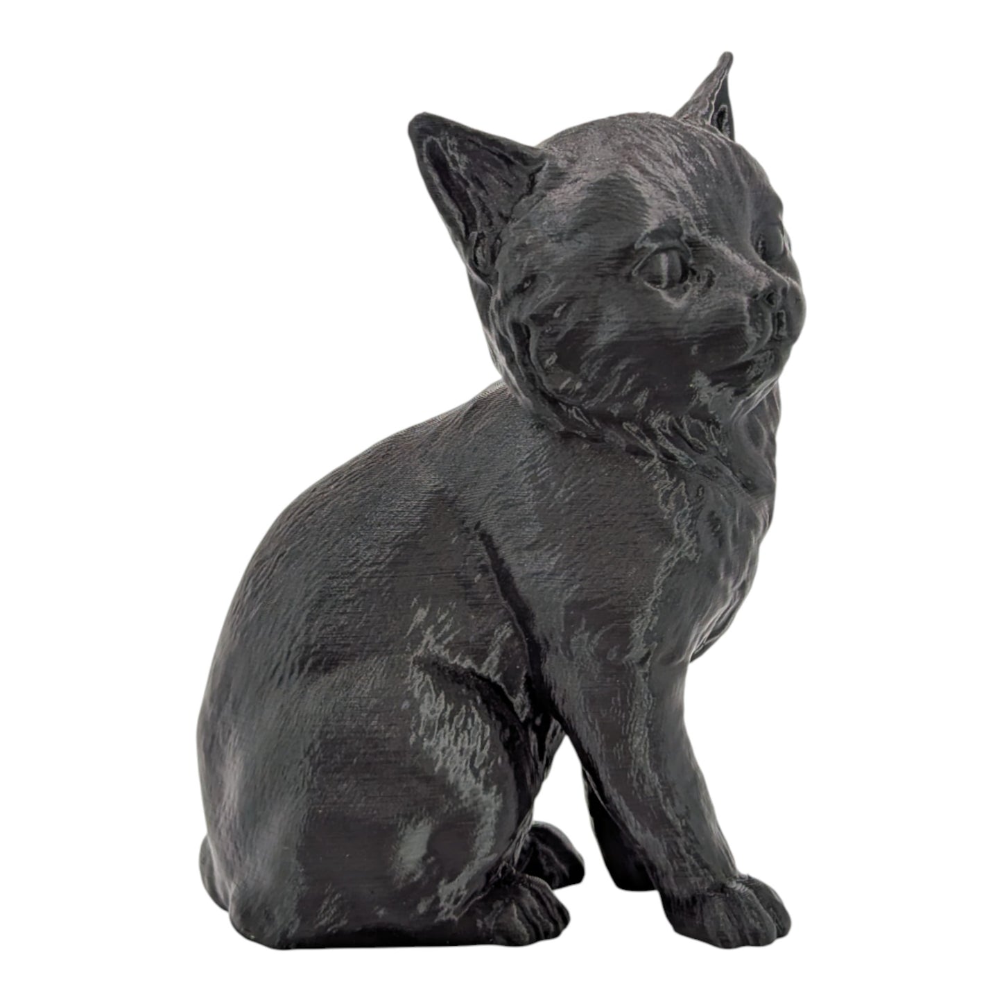 Willow: The Playful Little Explorer Kitten Figurine