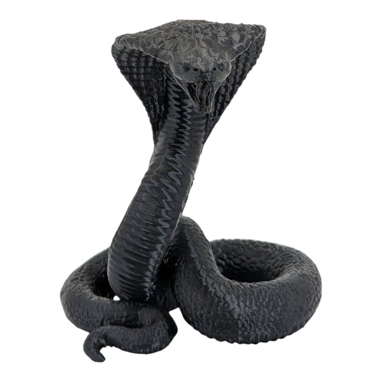 Raja: The Majestic Curled Cobra Figurine