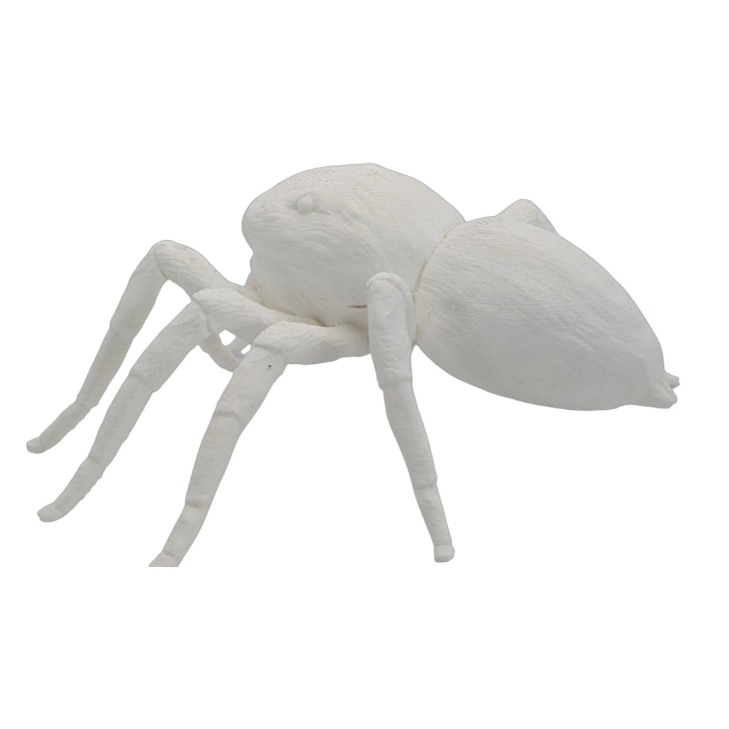 Jumper: The Adorable 6-Inch Jumping Spider Figurine