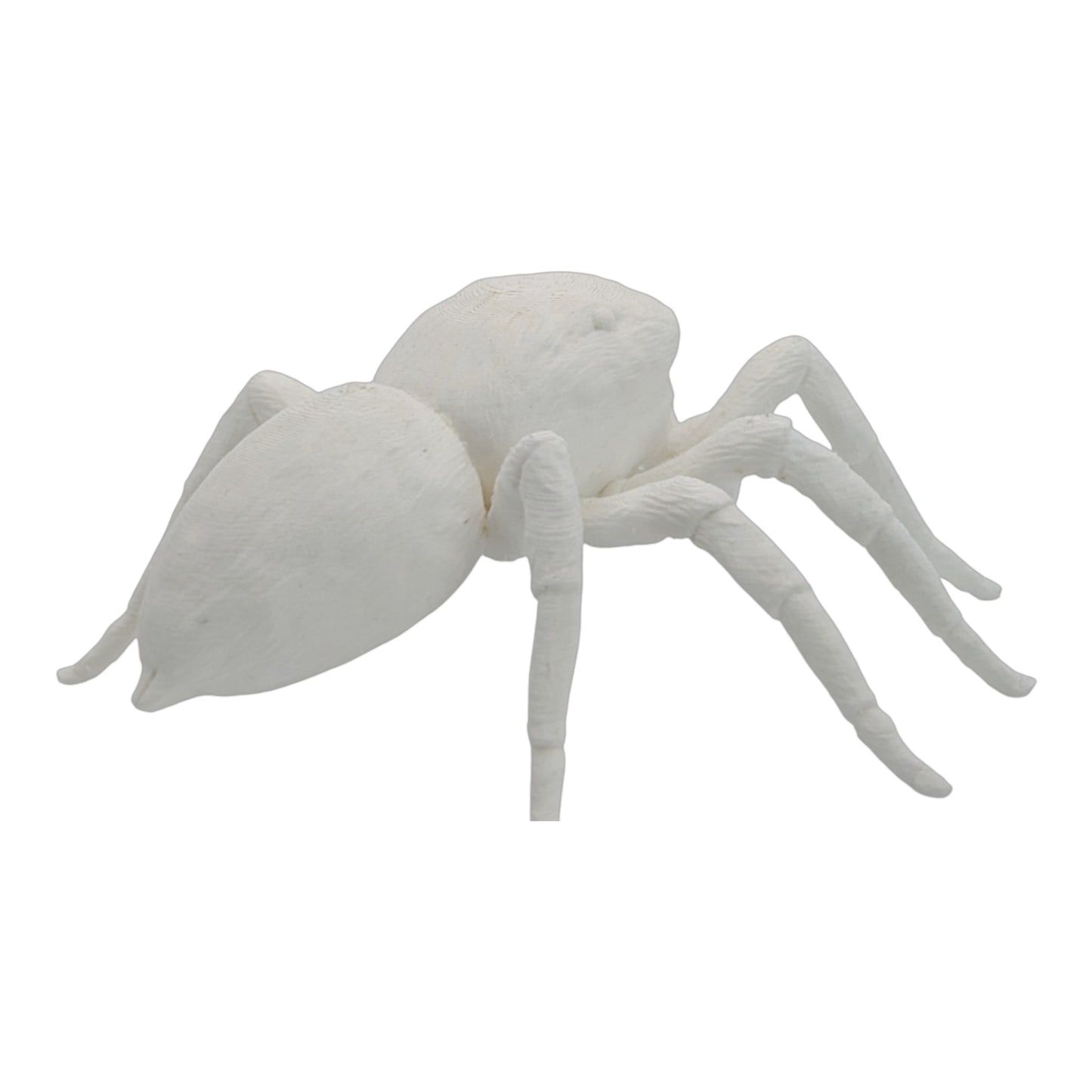 Jumper: The Adorable 6-Inch Jumping Spider Figurine