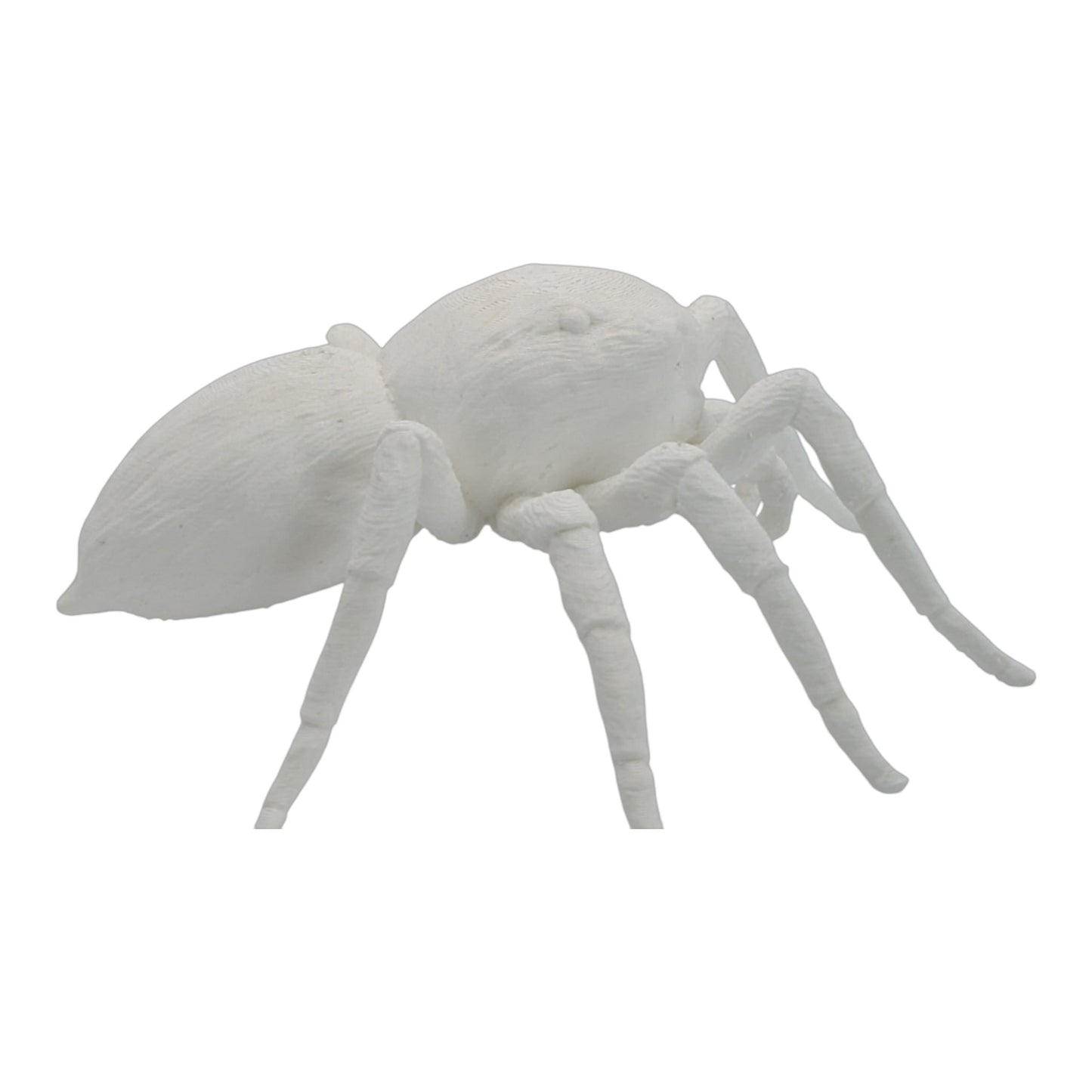 Jumper: The Adorable 6-Inch Jumping Spider Figurine