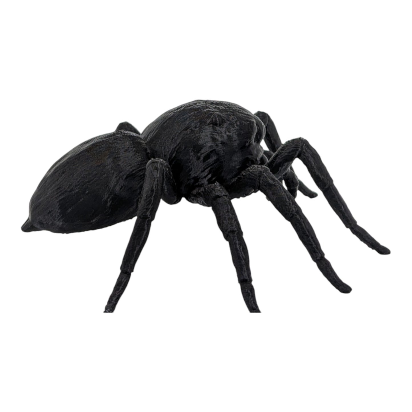 Jumper: The Adorable 6-Inch Jumping Spider Figurine