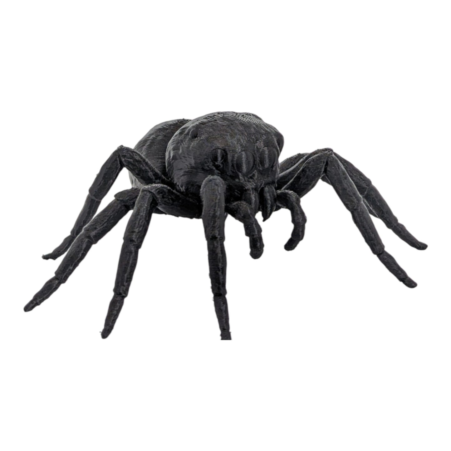 Jumper: The Adorable 6-Inch Jumping Spider Figurine