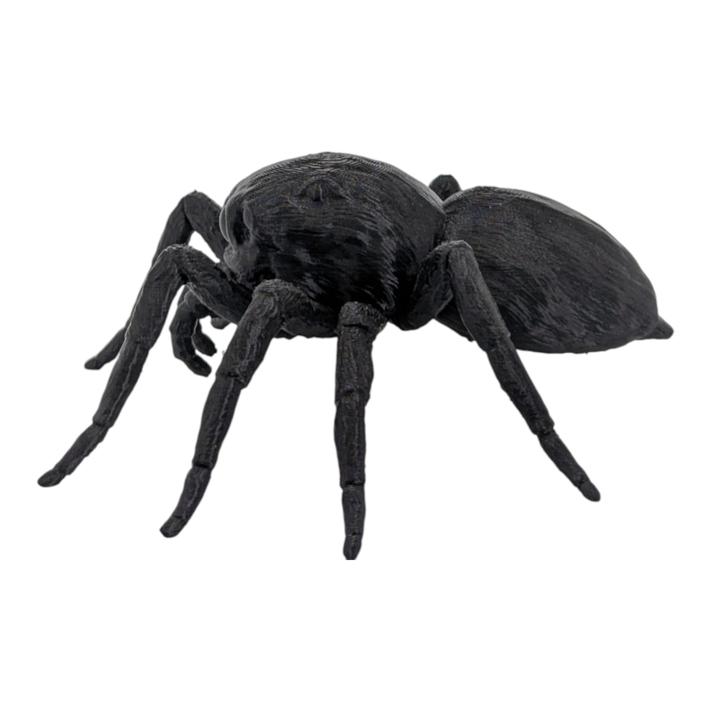Jumper: The Adorable 6-Inch Jumping Spider Figurine