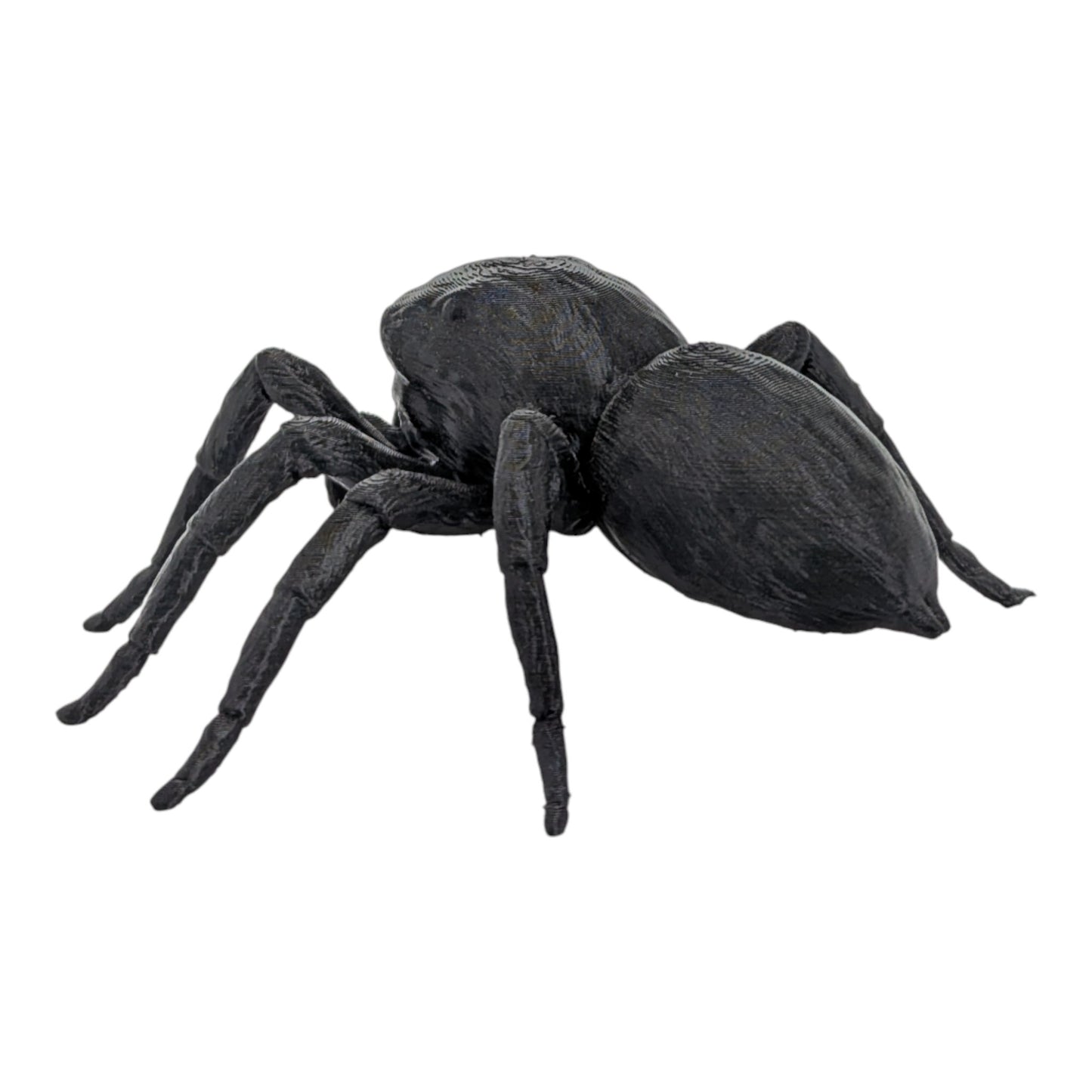 Jumper: The Adorable 6-Inch Jumping Spider Figurine