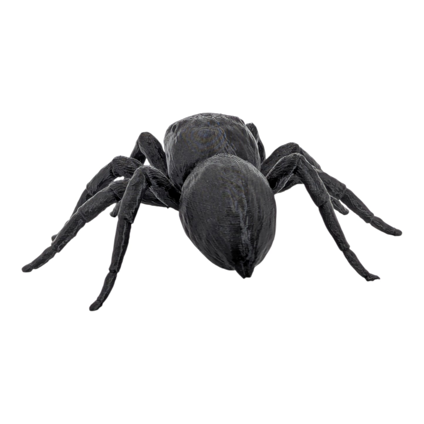 Jumper: The Adorable 6-Inch Jumping Spider Figurine