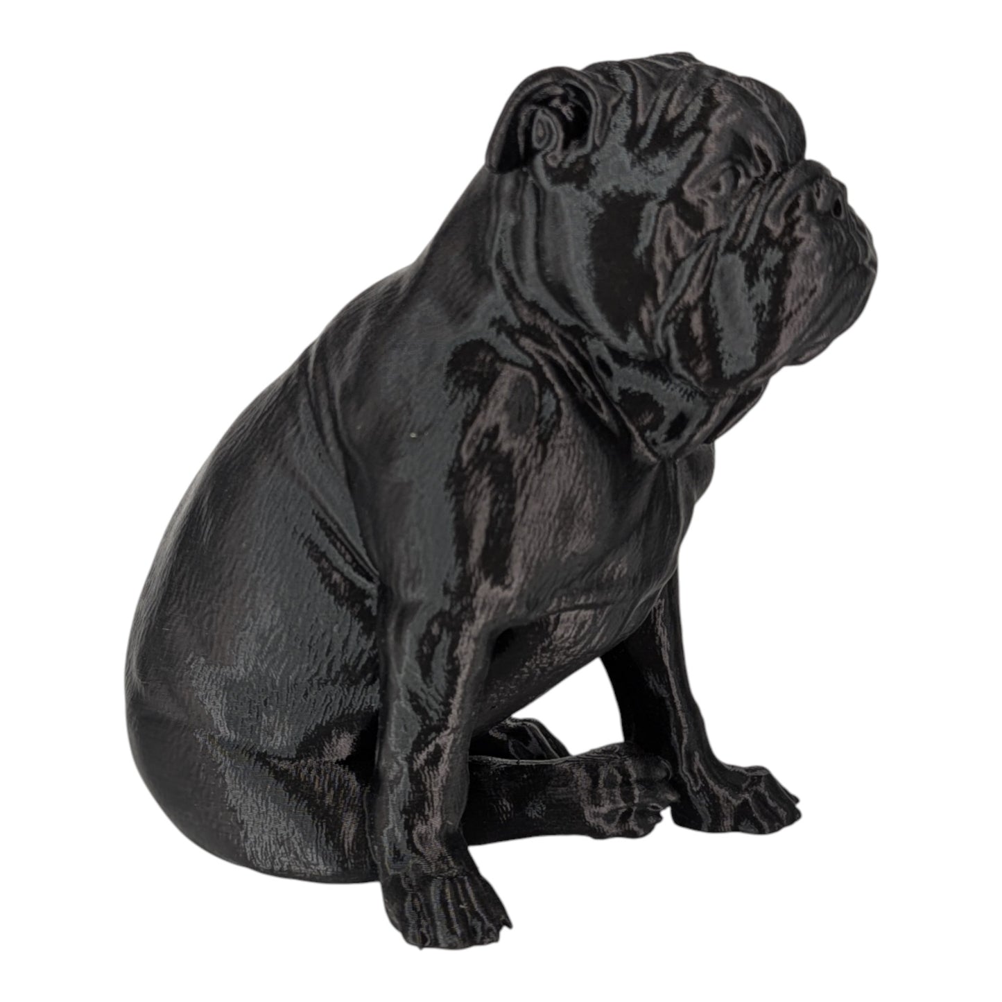 Tank: The Stubbornly Cute English Bulldog Figurine