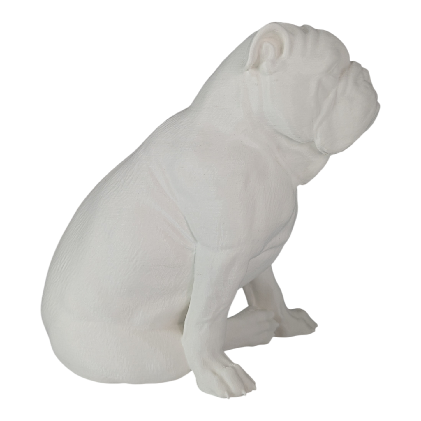 Tank: The Stubbornly Cute English Bulldog Figurine