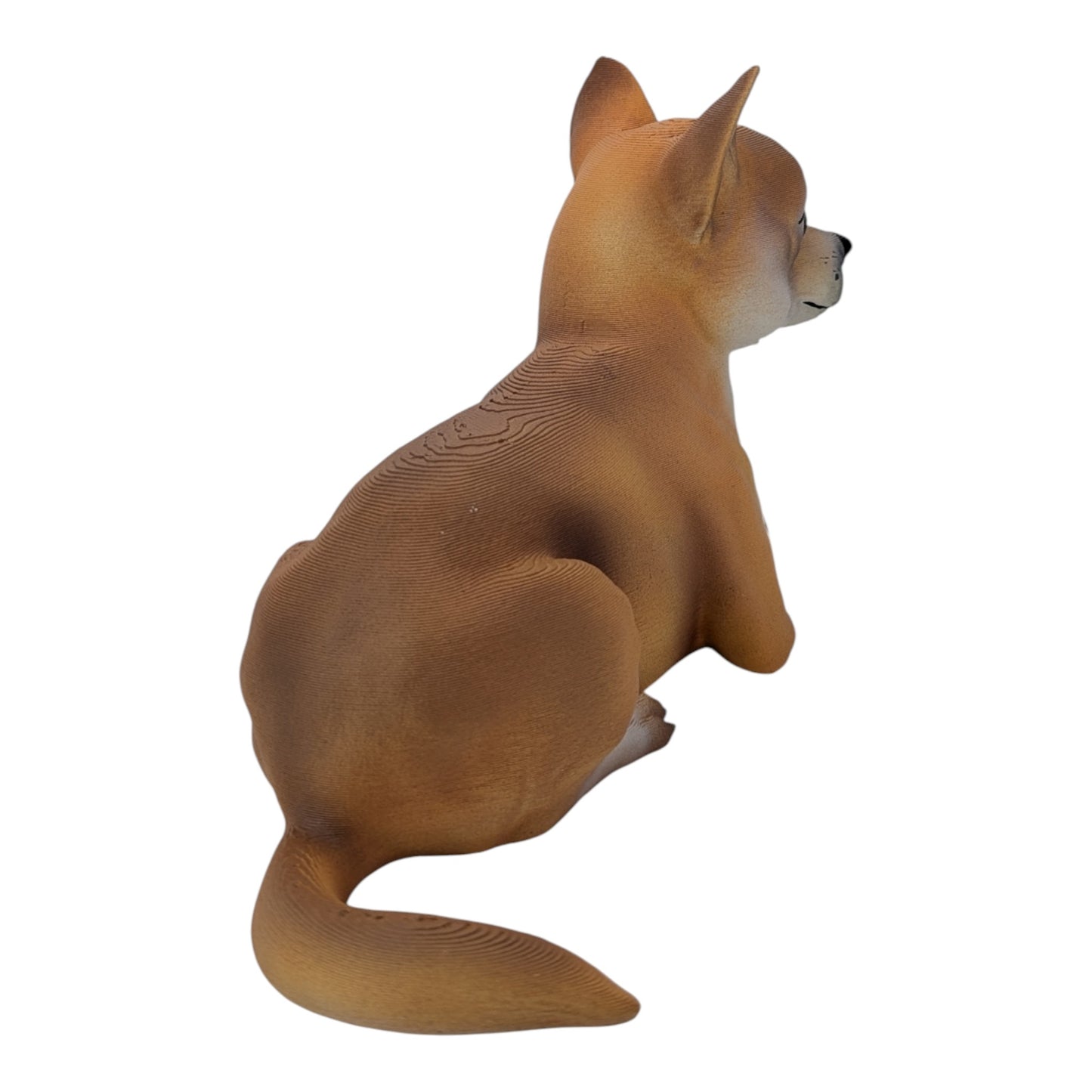 Milo: The chill little chihuahua (Founder's Edition)