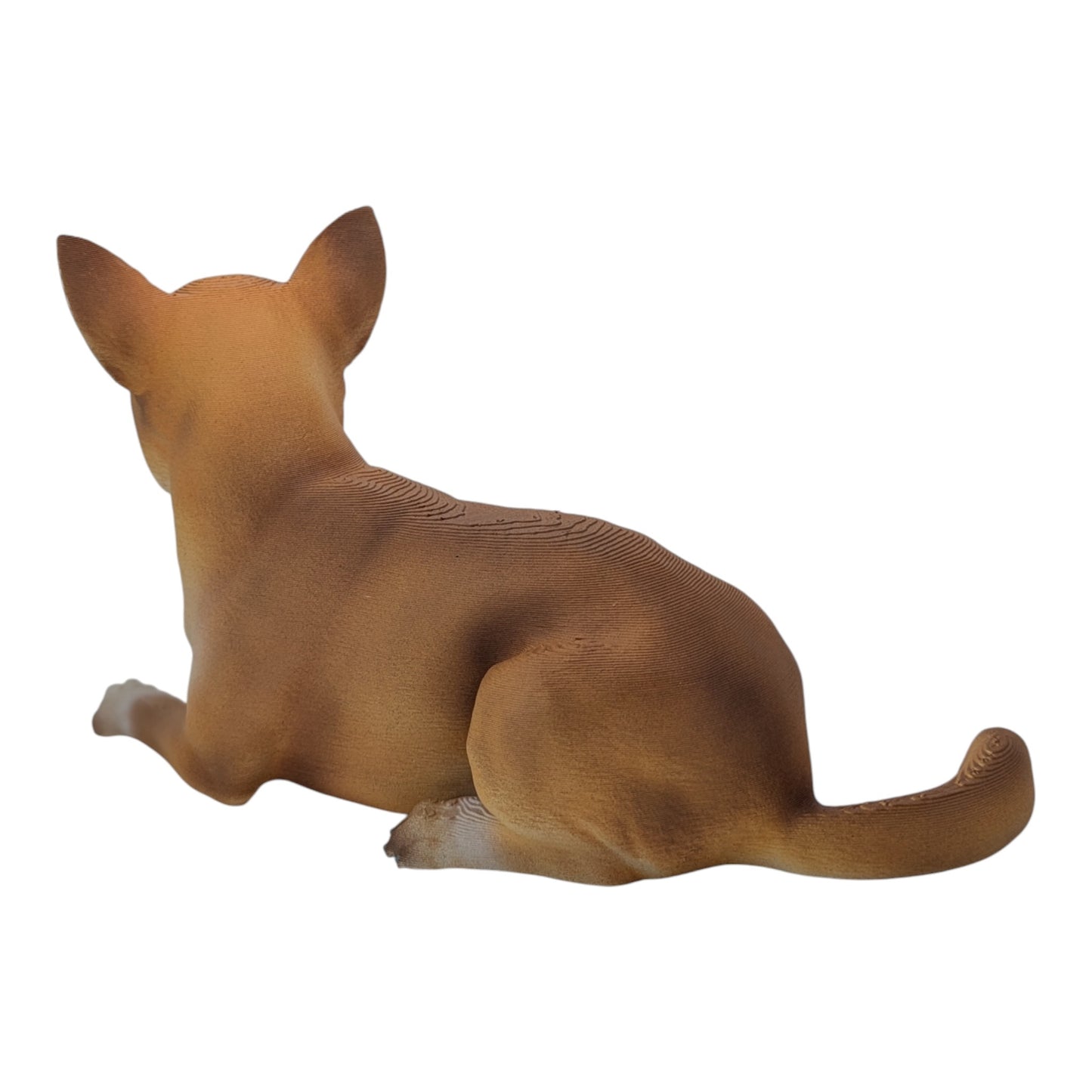 Milo: The chill little chihuahua (Founder's Edition)