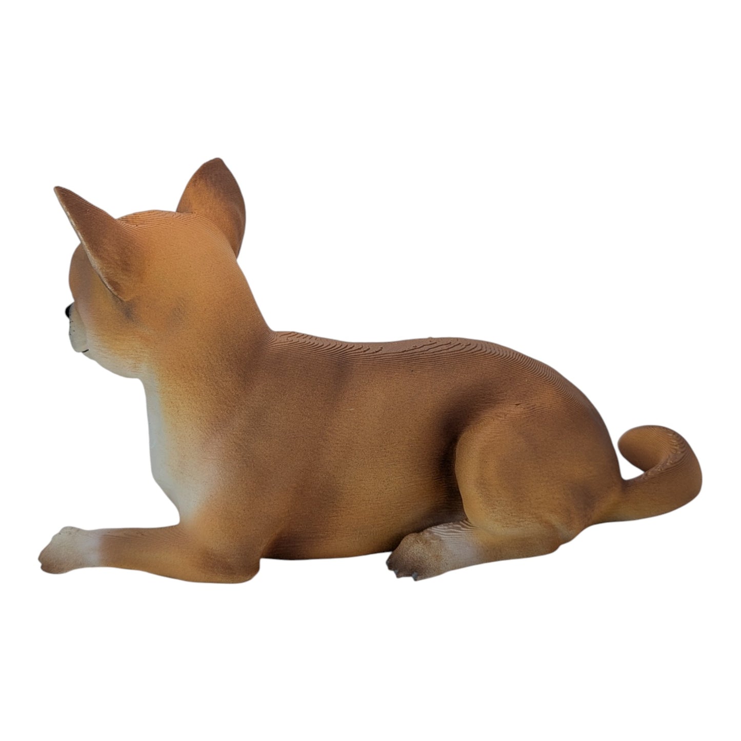 Milo: The chill little chihuahua (Founder's Edition)