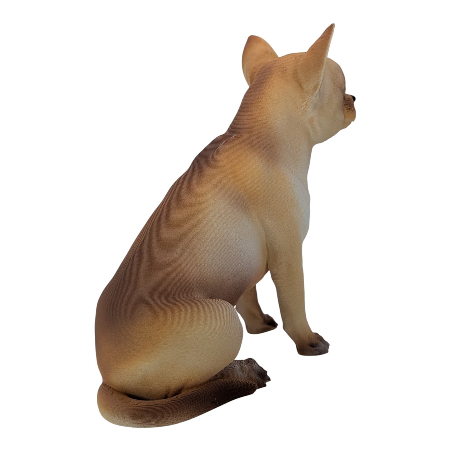 Bean: The Alert Little Chihuahua (Founder's Edition)