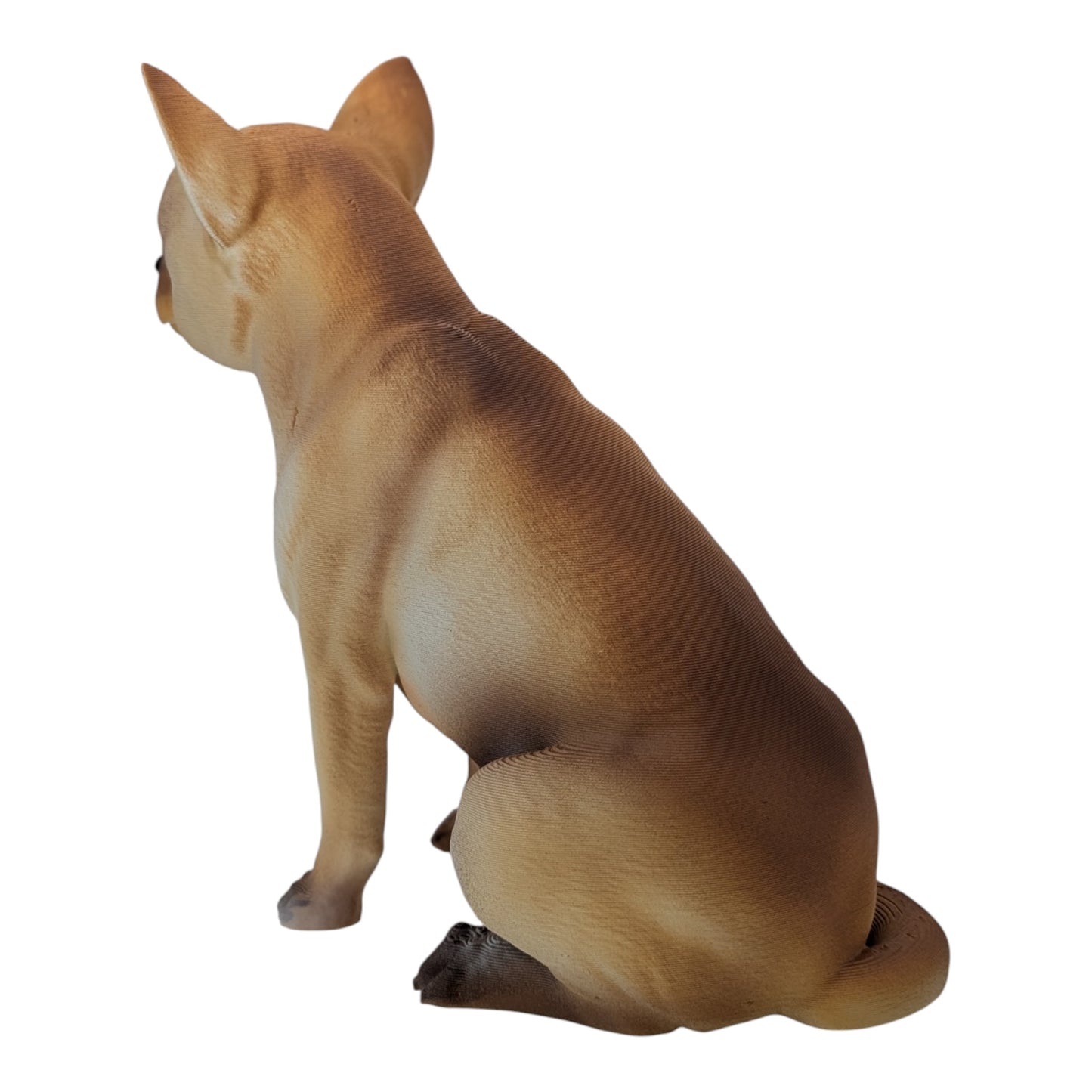 Bean: The Alert Little Chihuahua (Founder's Edition)