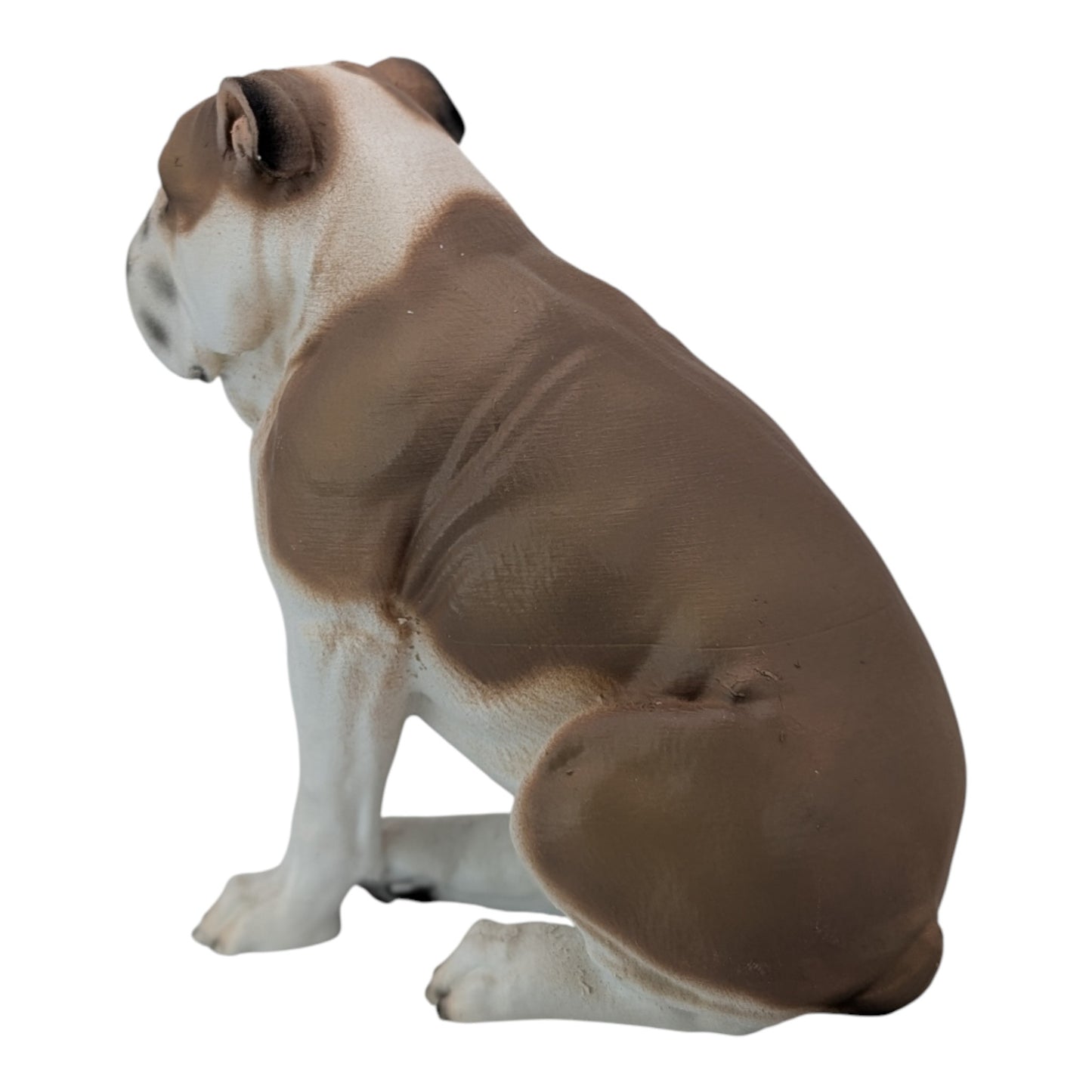 Winston: The Sweet English Bulldog (Founder's Edition)