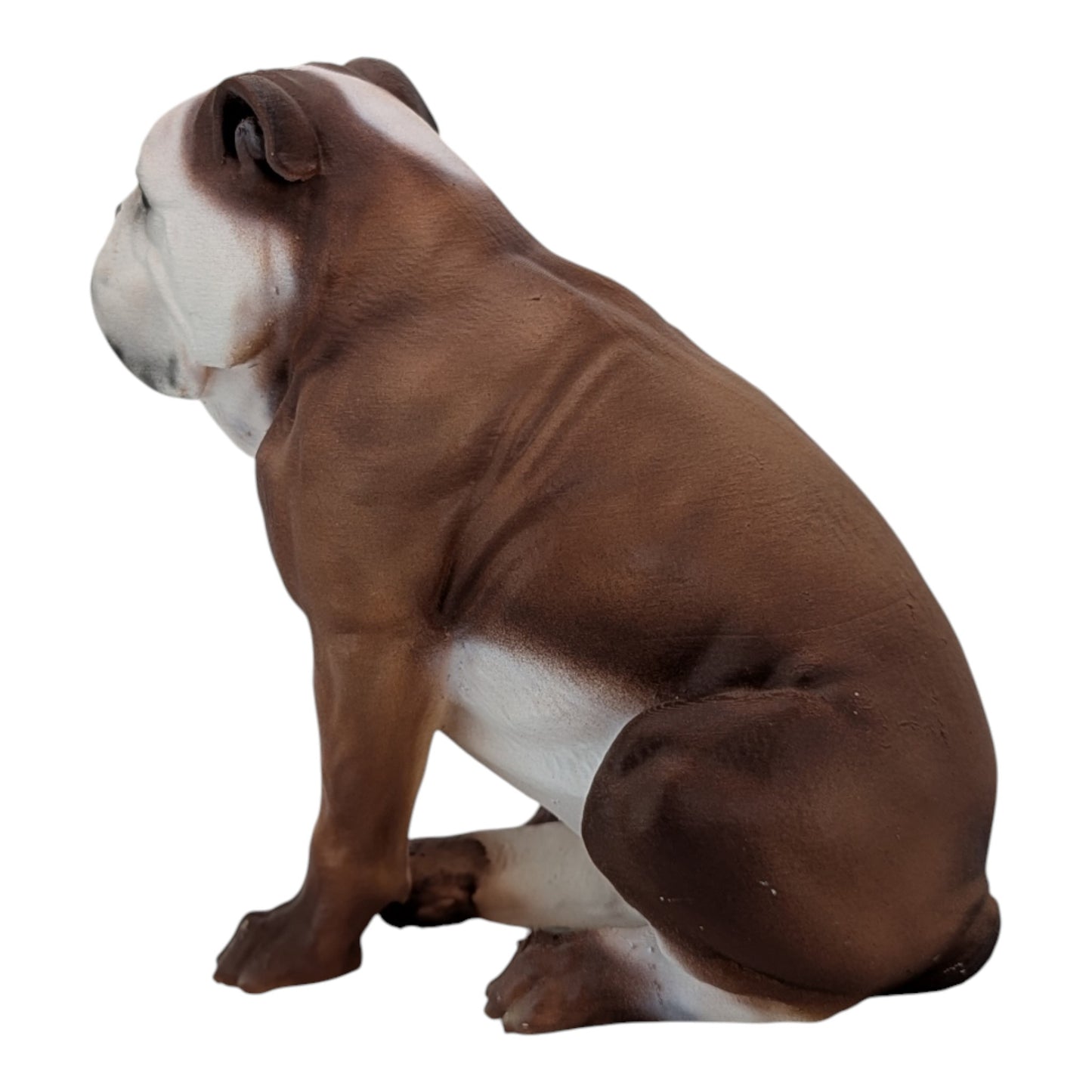 Bandit: The Adorable English Bulldog (Founder's Edition)