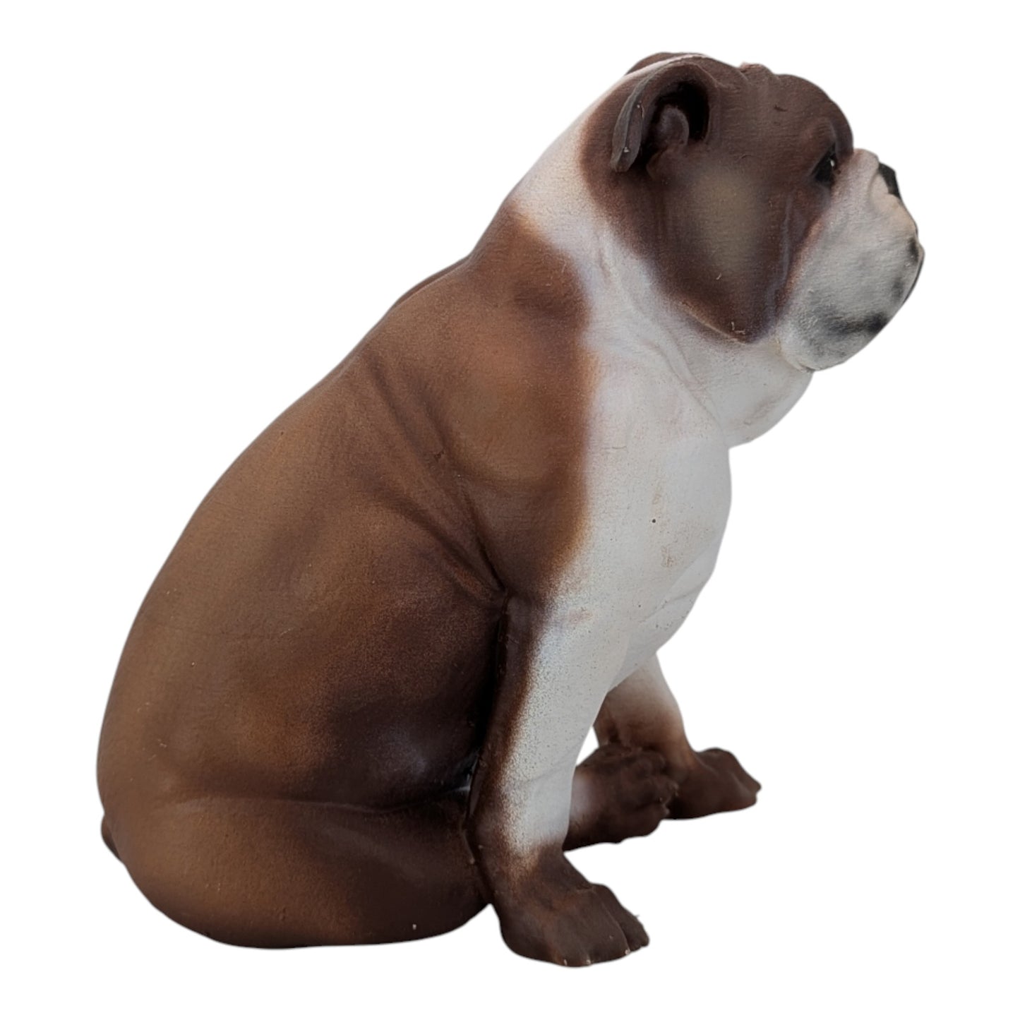 Bandit: The Adorable English Bulldog (Founder's Edition)