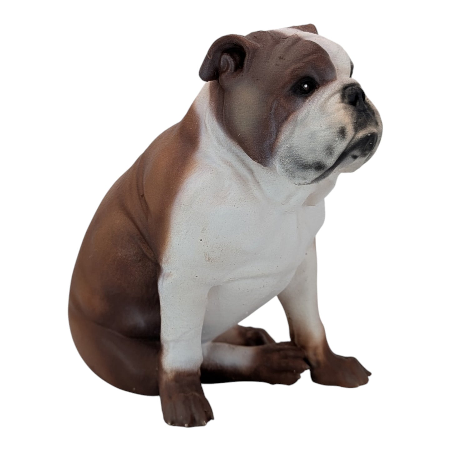 Bandit: The Adorable English Bulldog (Founder's Edition)