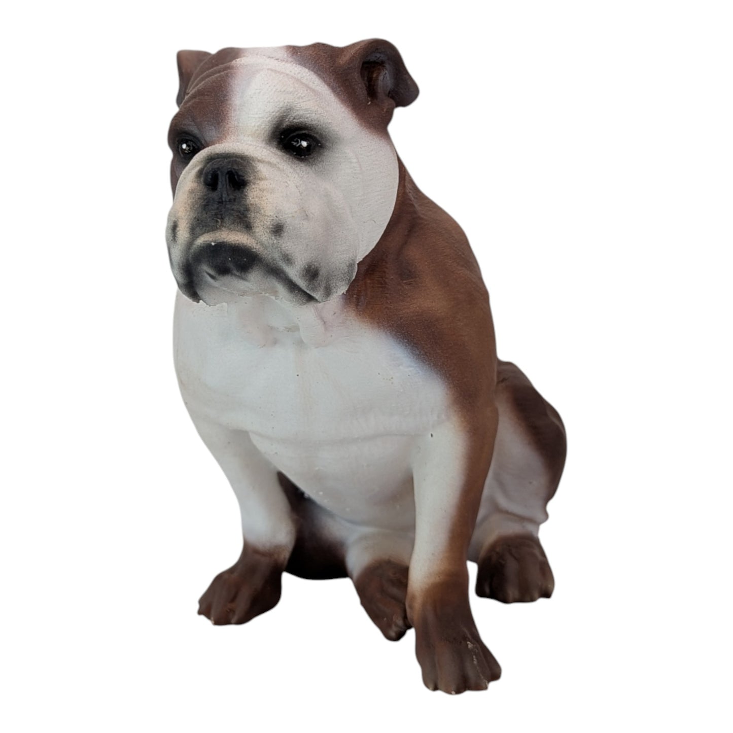 Bandit: The Adorable English Bulldog (Founder's Edition)