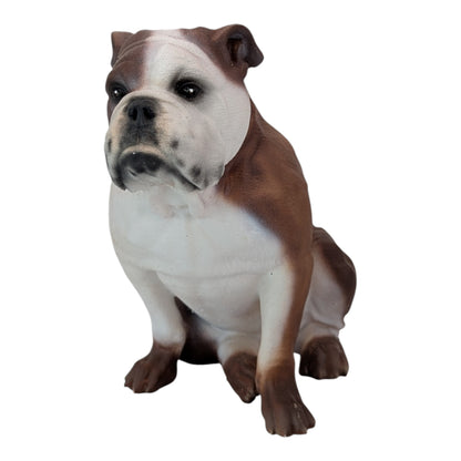 Bandit: The Adorable English Bulldog (Founder's Edition)