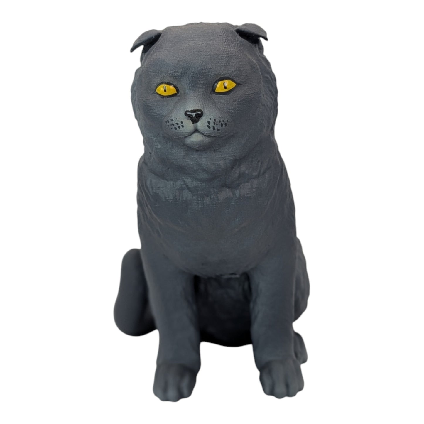 Rory: The Heartbreakingly Sweet Scottish Fold (Founders Edition)