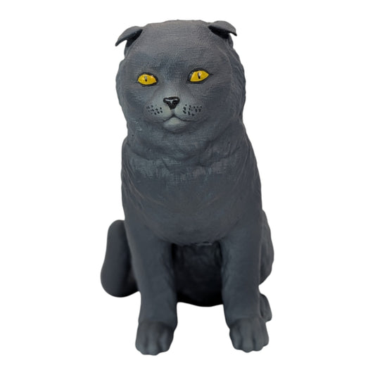 Rory: The Heartbreakingly Sweet Scottish Fold (Founders Edition)