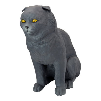 Rory: The Heartbreakingly Sweet Scottish Fold (Founders Edition)