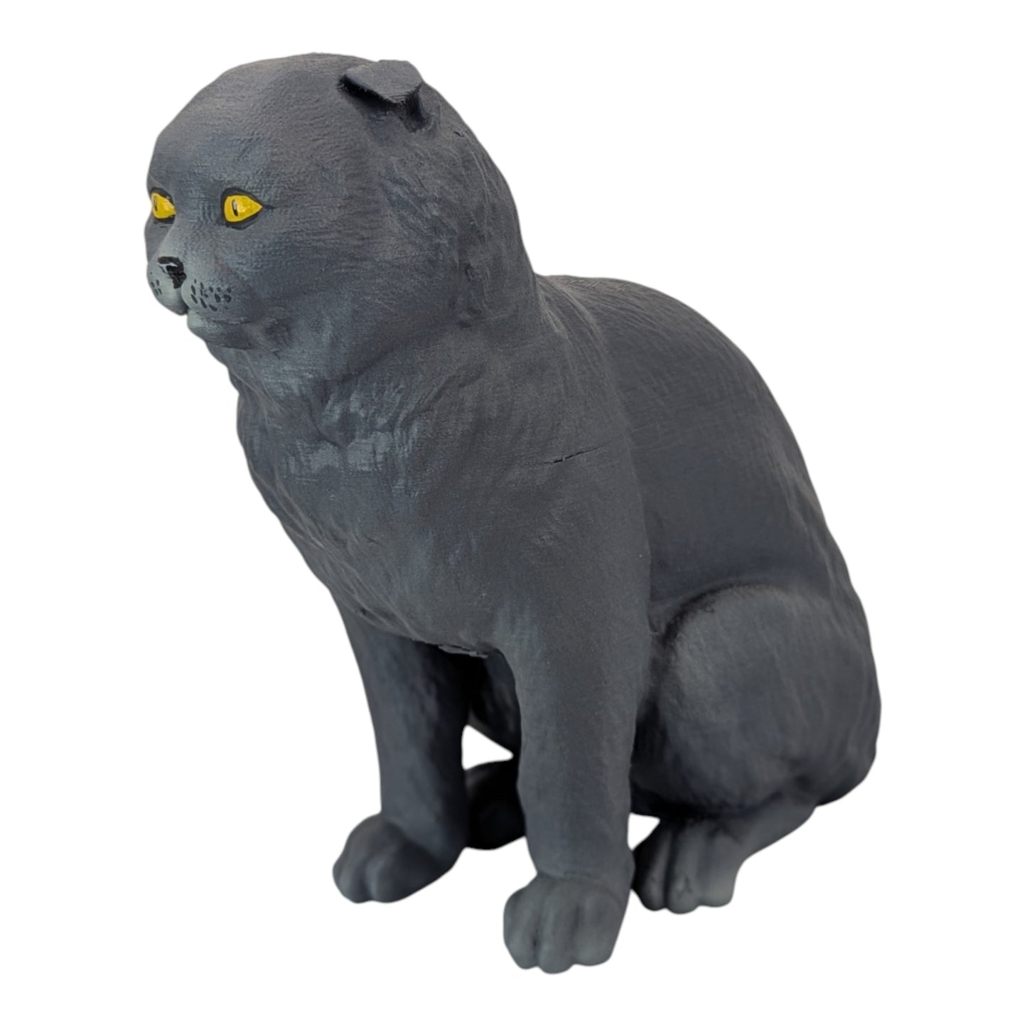 Rory: The Heartbreakingly Sweet Scottish Fold (Founders Edition)