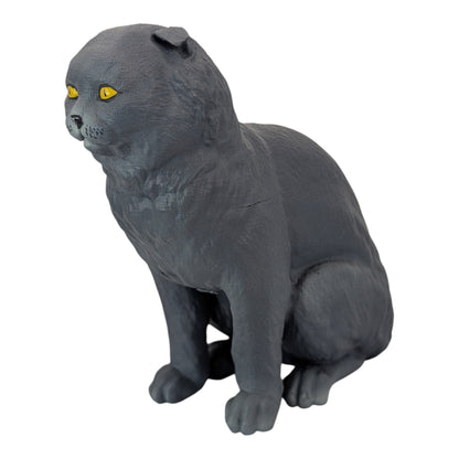 Rory: The Heartbreakingly Sweet Scottish Fold (Founders Edition)