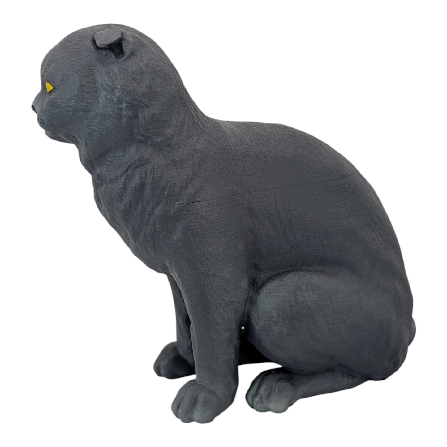 Rory: The Heartbreakingly Sweet Scottish Fold (Founders Edition)