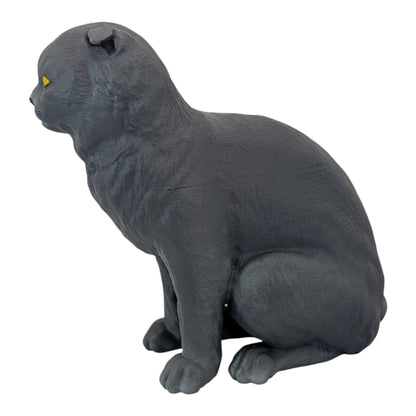 Rory: The Heartbreakingly Sweet Scottish Fold (Founders Edition)