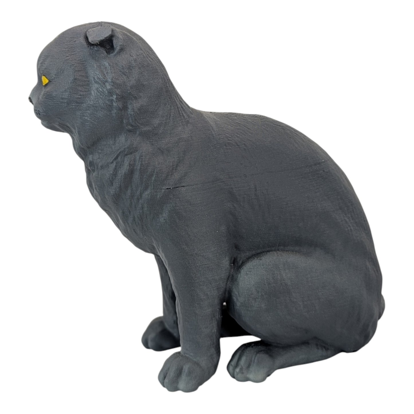 Rory: The Heartbreakingly Sweet Scottish Fold (Founders Edition)