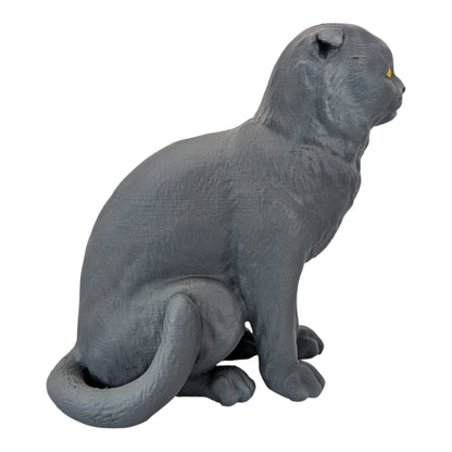 Rory: The Heartbreakingly Sweet Scottish Fold (Founders Edition)