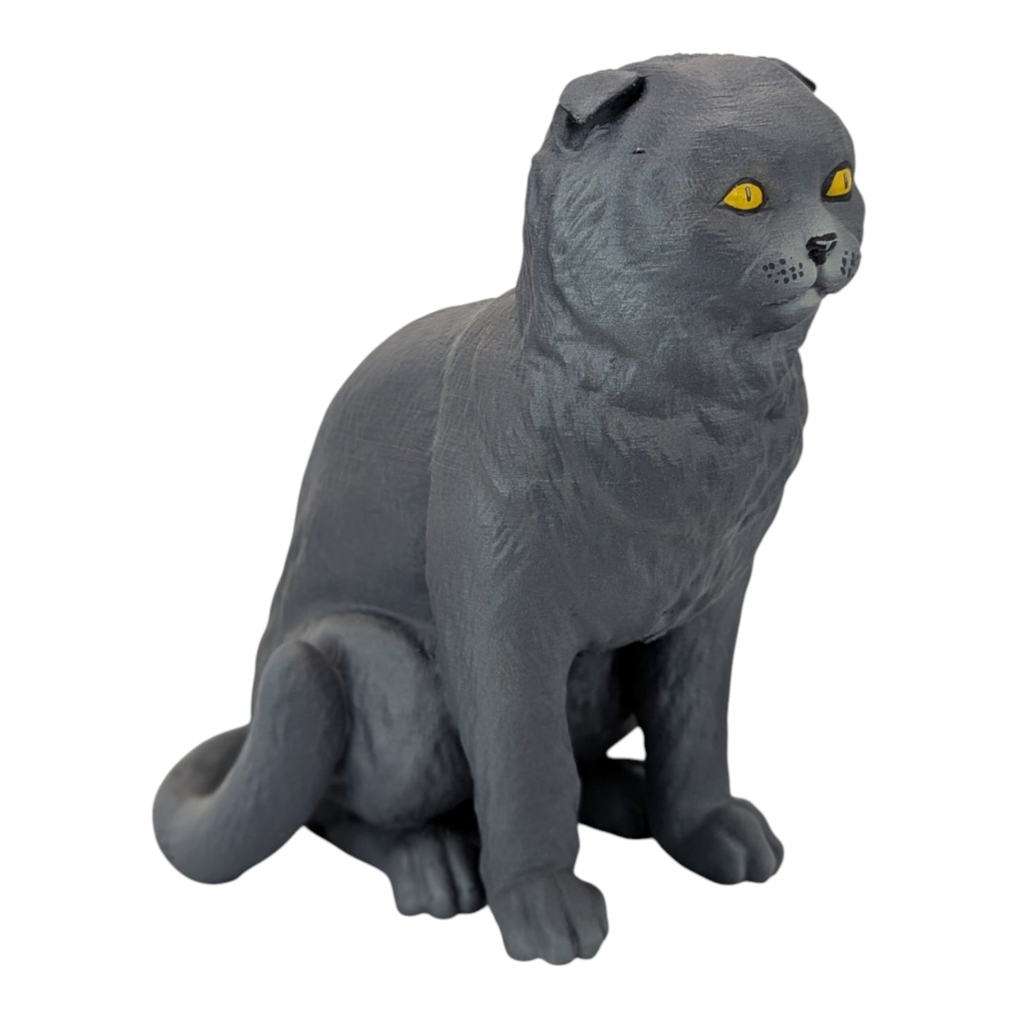 Rory: The Heartbreakingly Sweet Scottish Fold (Founders Edition)