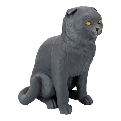 Rory: The Heartbreakingly Sweet Scottish Fold (Founders Edition)