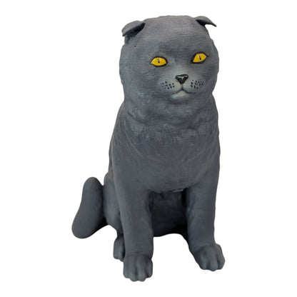 Rory: The Heartbreakingly Sweet Scottish Fold (Founders Edition)