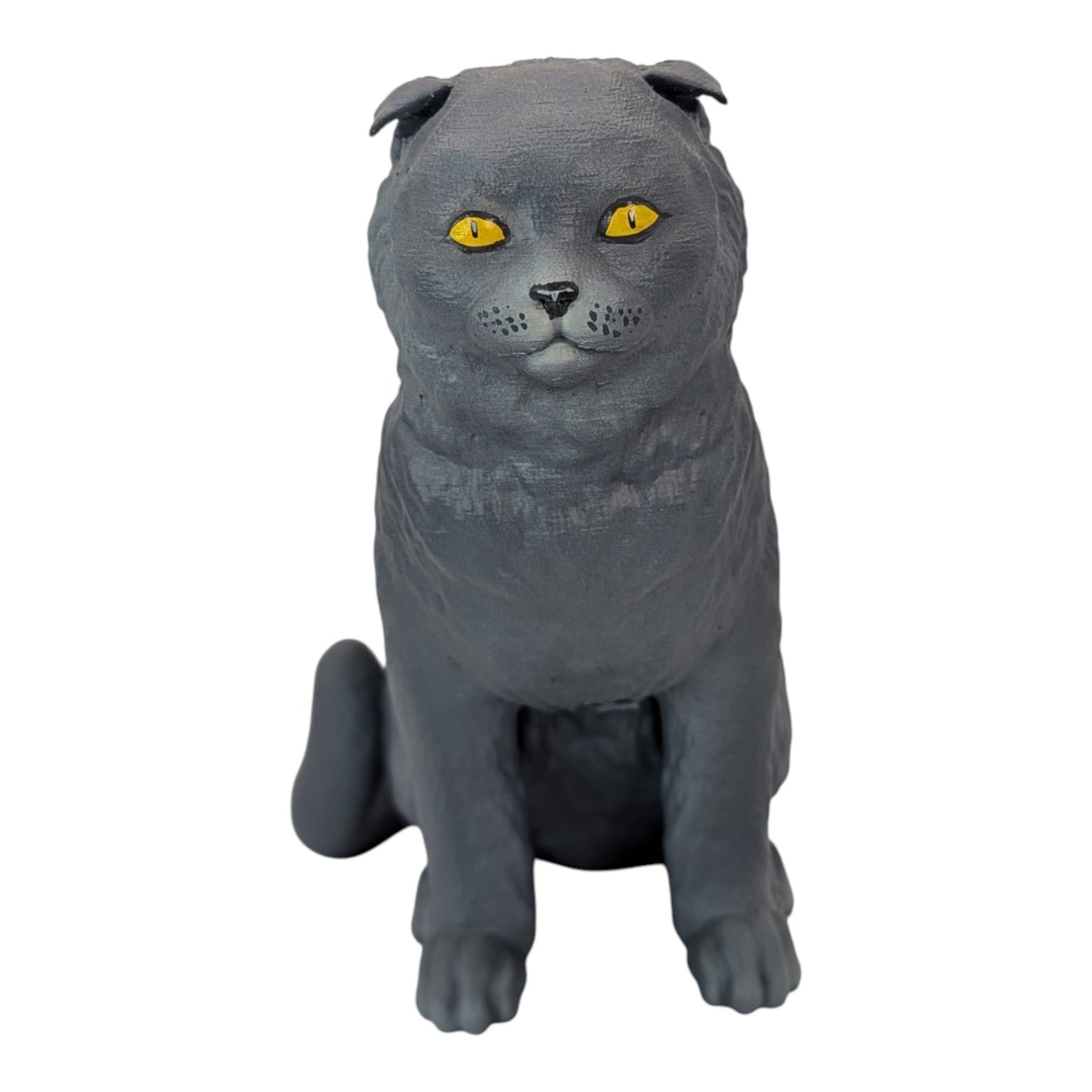 Rory: The Heartbreakingly Sweet Scottish Fold (Founders Edition)