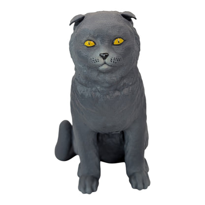 Rory: The Heartbreakingly Sweet Scottish Fold (Founders Edition)