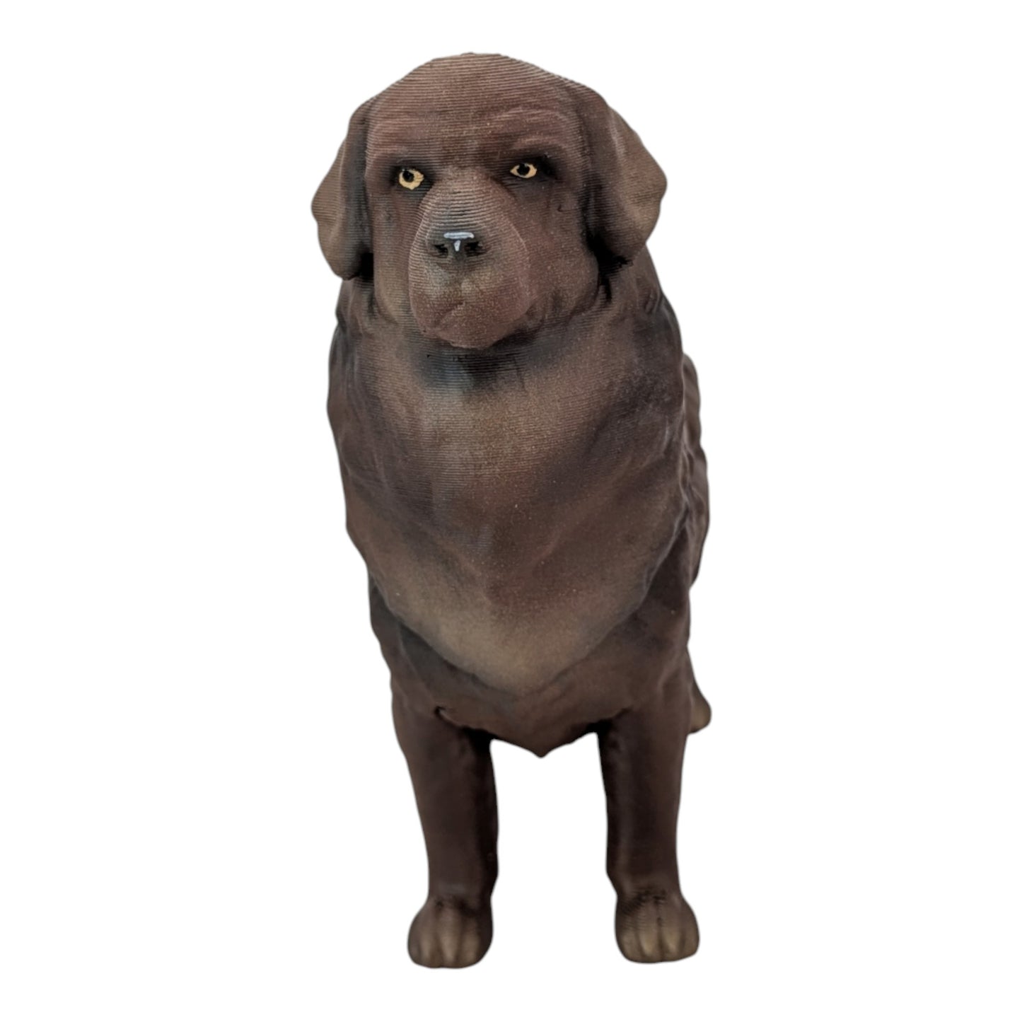 Moose: The Gentle Giant Newfoundland Dog (Founder's Edition)