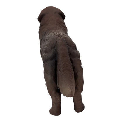 Moose: The Gentle Giant Newfoundland Dog (Founder's Edition)
