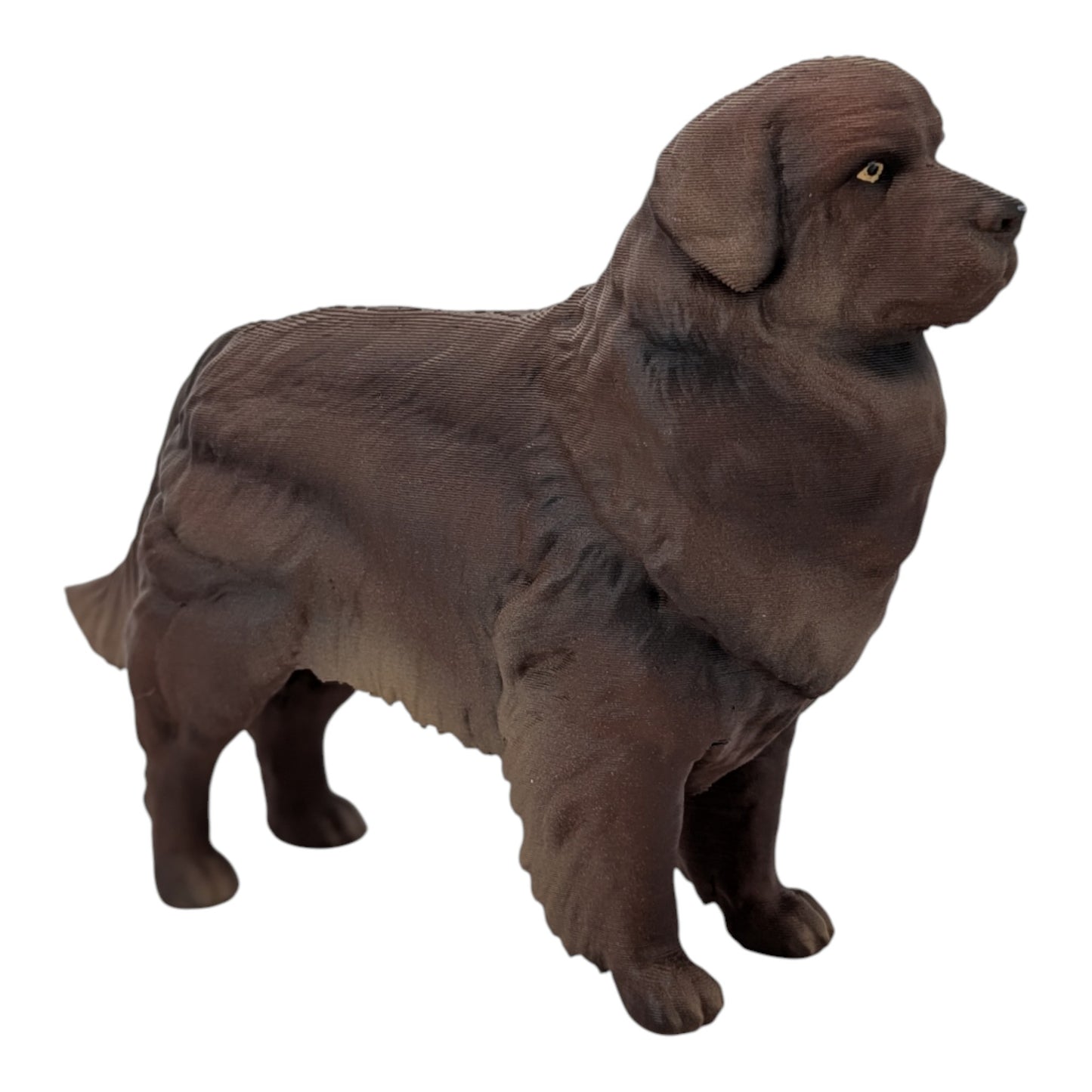 Moose: The Gentle Giant Newfoundland Dog (Founder's Edition)