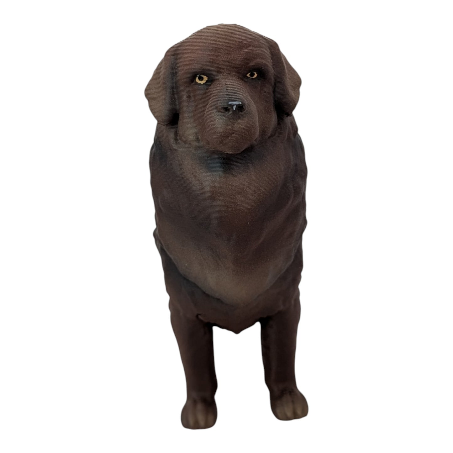 Moose: The Gentle Giant Newfoundland Dog (Founder's Edition)