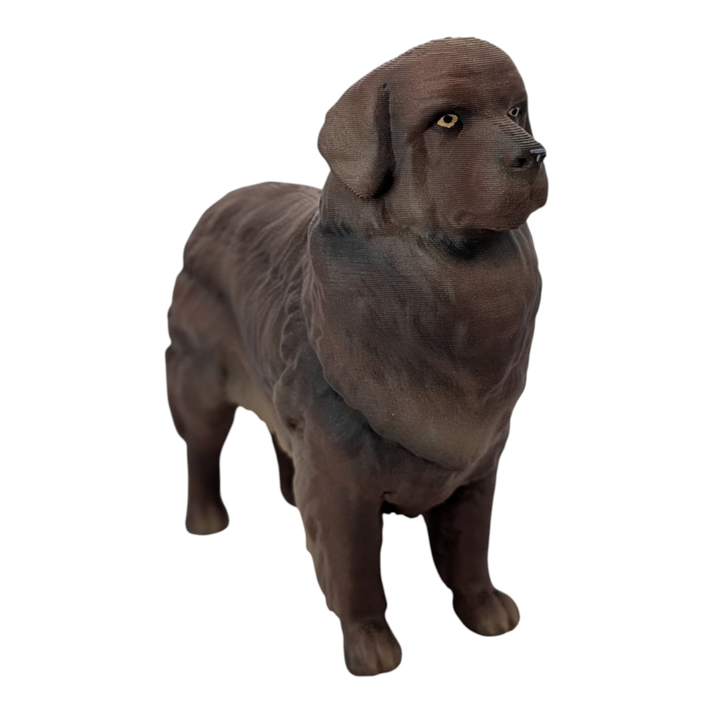 Moose: The Gentle Giant Newfoundland Dog (Founder's Edition)