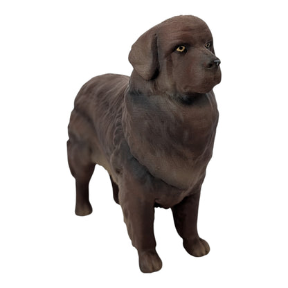 Moose: The Gentle Giant Newfoundland Dog (Founder's Edition)